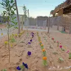 مخيم بيات للاجار اليومي