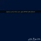 مطلوب بيت لأب اجار