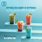 تصميم بكل أنواعه