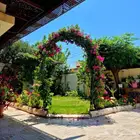 مهندس زراعي متخصص في تنسيق الحدائق وزراعة الأشجار والورد