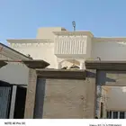 ليا سه ملونه بديل الحجر الطبيعي دغنيك عن التلييس العيدي وعن