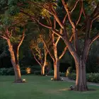 متخصصون في جميع انواع اضاءة داخلية وخارجية ضمن مواصفات عالية