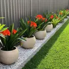 مهندس زراعي متخصص في تنسيق الحدائق وزراعة الأشجار