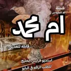 شيلات حصريه واسعار مغريه وحسب الموعد