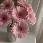 معلمة خصوصي