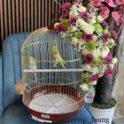 سلاسل خواتم نظارات هدايا نسائية ورجاليه محل هدايا خميس مشيط