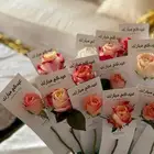 ورد طبيعي بالجمله