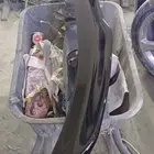 للبيع جناح موستنج 2015