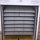 فقاسات الياسريه