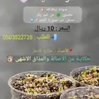 تمر سفسيف