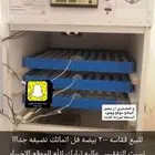 فقاسة بيض 300