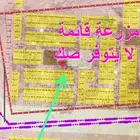 نص أرض للبيع حي الجامعه تبوك