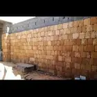 الرياض