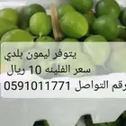 يتوفر ليمون بلدي سعر الفلينه 10 ريال