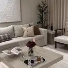 نبات ستار  تفصيل مساند مجلس   نب وائ فائي ستار  تفصيل