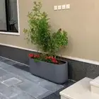 تنسيق حدائق الأحساء