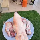 ذبايح ذبيحه