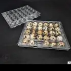 اطباق بيض سمان لأصحاب المشاريع جميع مناطق المملكة