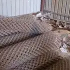 الخرج
