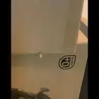 عربية اطفال بكرتونها