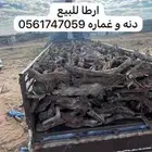 ارطي مستورد نفود