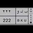 لوحه مميزه على السوم