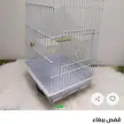 قفص كاسكو من الزمن الجميل في جددده