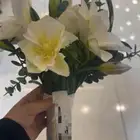 مسكة عروس او ملكة