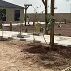 اعمده اناره