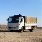 دينا نقل مشاوير