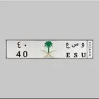 لوحة مميزه ( و س ع - 40 )