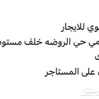 الدوادمي حي النهضه