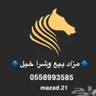 مزاد بيع وشراء خيل