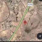 بين القنفذة وخميس حرب