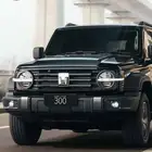 جريت وول تانك 300 فل كامل سعودي 2026