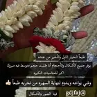 فل صبيا فل جيزاني