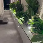 تنسيق حدائق
