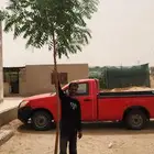 نيم من بوصه وربع إلى بوصه ونص