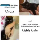 قطة سكوتش للتبني هادئة ولطيفة