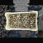 بيض سمان