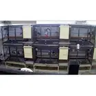 اقفاص كاسكو للبيع