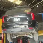 دودة جمس مجموعة دركسيون جمس