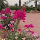 مزارع ومنسق حدائق