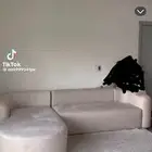كنب
