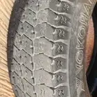 كفرات يوكوهاما سلق