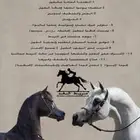 ايوا خيل وعسف