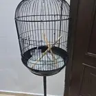 قفص طيور دائري ..