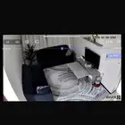 سجاد للبيع مقاس 2 50 3 50 موضح بالصور وطاوله ع السوووم