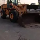 شيول لونق 2015