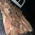 صندوق غماره شلايخ